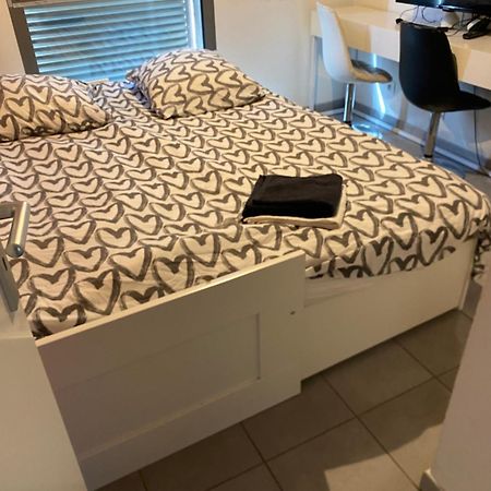 Superbe Appartement Avec Terrasse Toulouse Ngoại thất bức ảnh